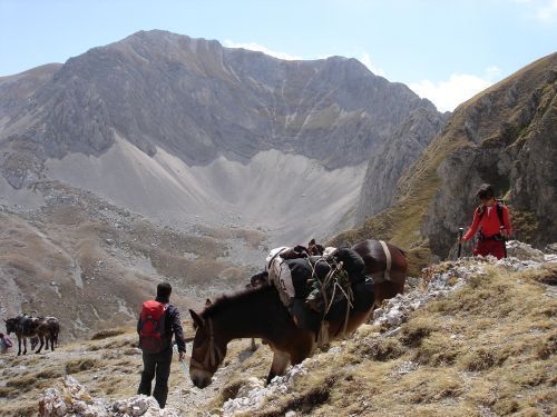 trekking con i muli-28.jpg